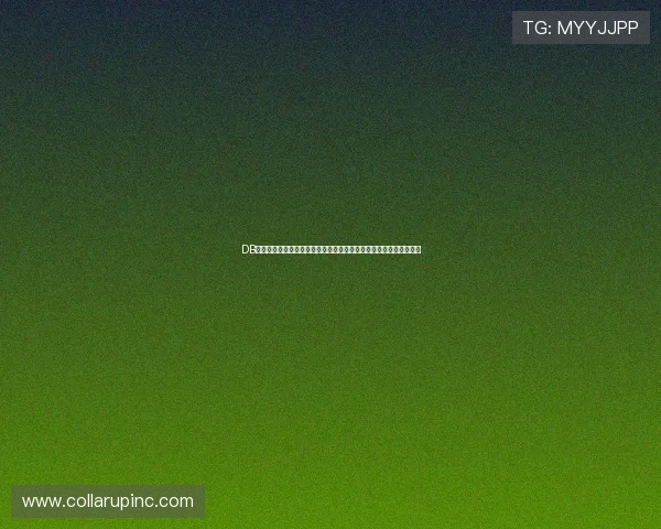 DB真人旗舰集团全面升级，提供安全稳定的真人娱乐服务保障用户权益